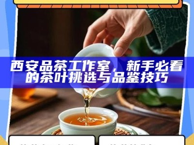 西安品茶工作室，新手必看的茶叶挑选与品鉴技巧